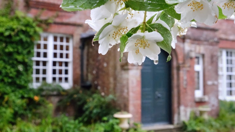A close up of the door to Max Gate with a white flower overhead
